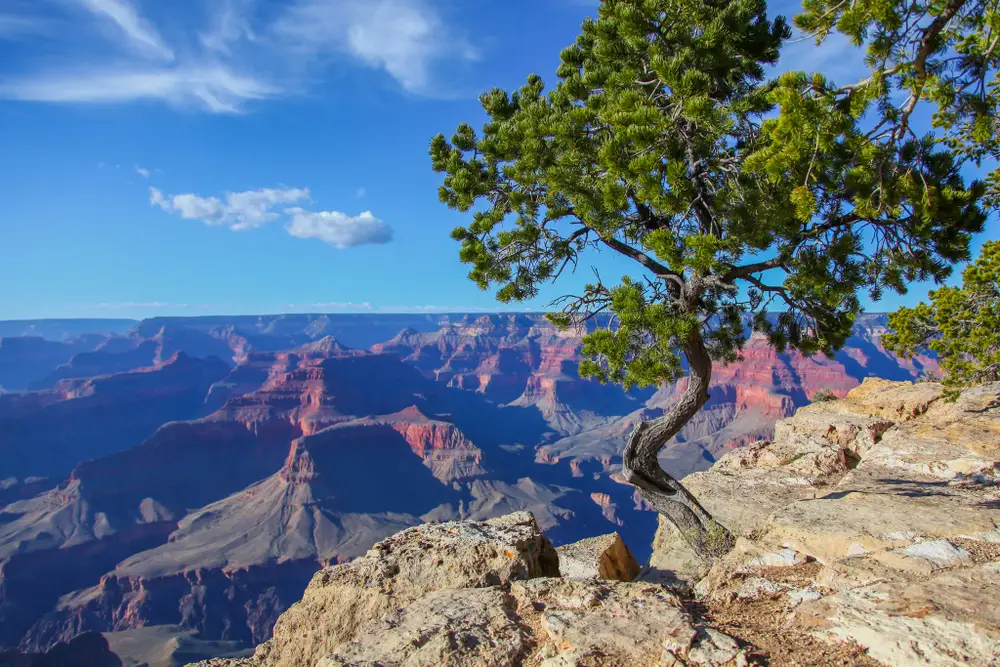 The breathtaking beauty of the Grand Canyon
