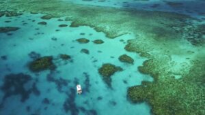 Exploring the Magnificence of the Great Barrier Reef: A Paradise for Adventure Seekers