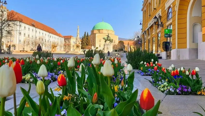  Pécs, Hungary