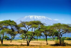 Top 5 National Reserves and Parks Kenya's 2023
