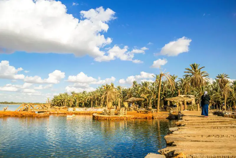 Siwa Oasis: A Natural Wonder