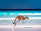 top 5 Beaches in Australia